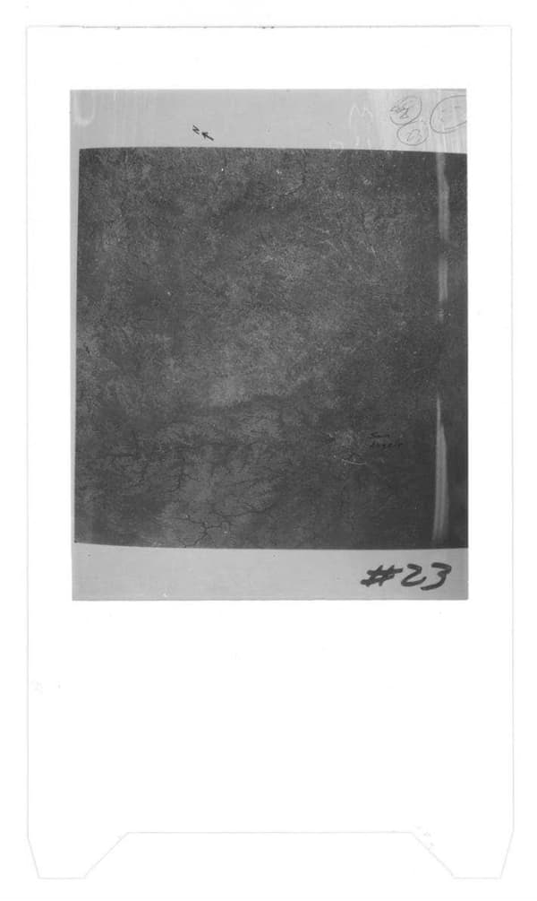 Page 221